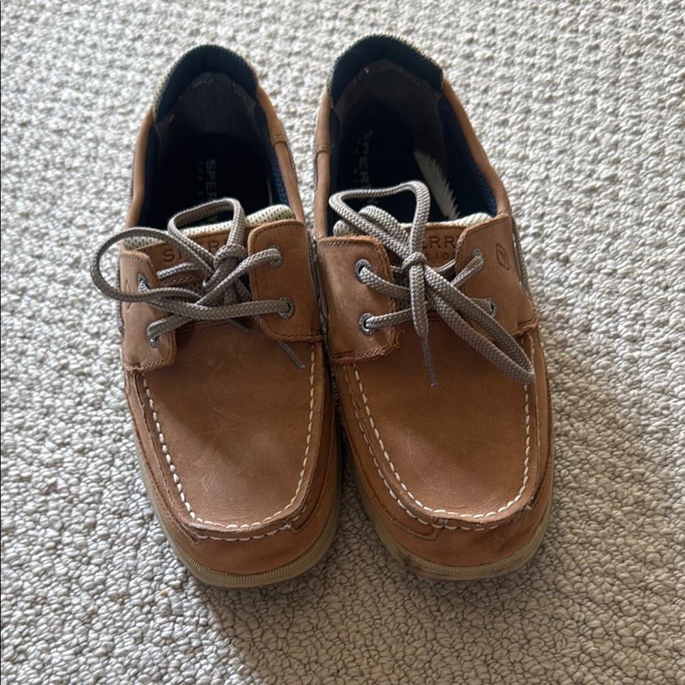 Sperry Brown Classic Boat Shoes